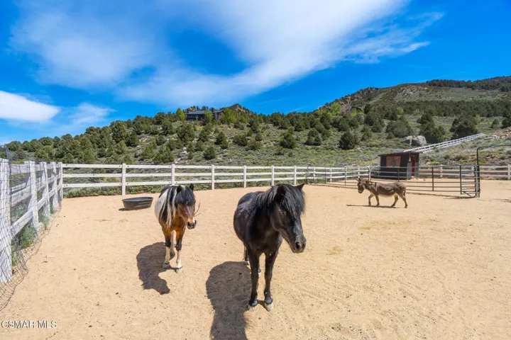 716 Aspen Springs Ranch Rd