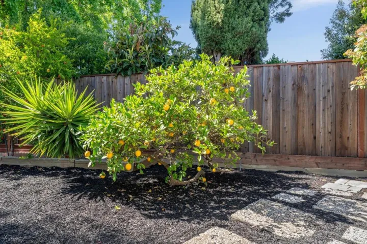 1410 Thunderbird Avenue, Sunnyvale, California 94087