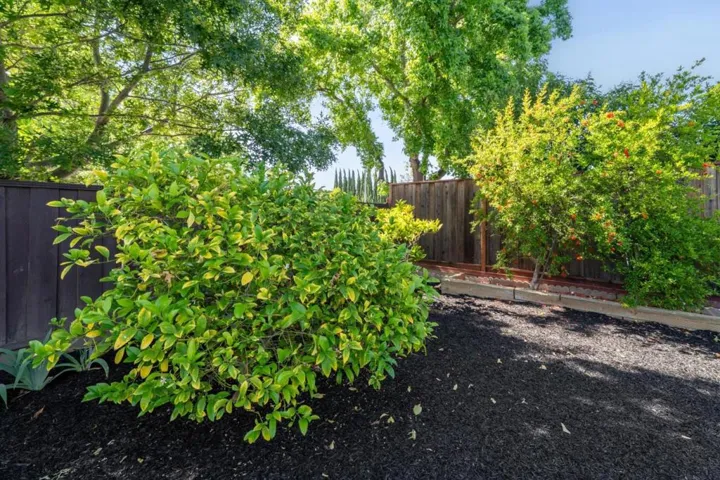 1410 Thunderbird Avenue, Sunnyvale, California 94087