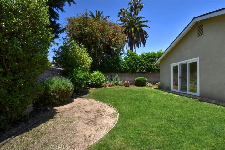 Grassy Area in Backyard