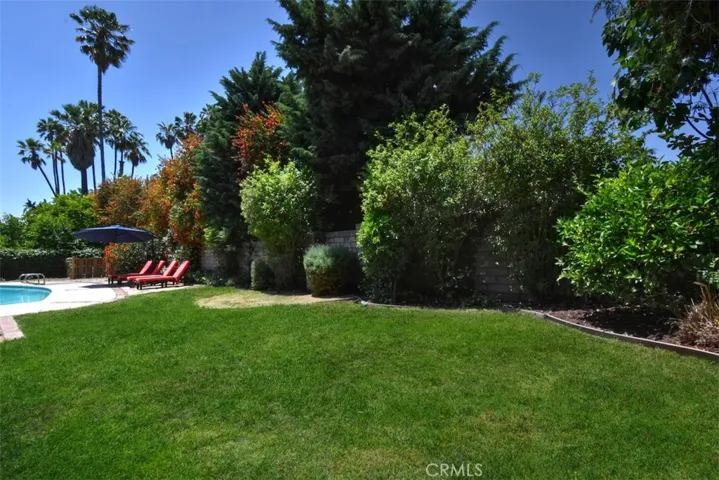 Grassy Area