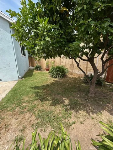 Rear side yard