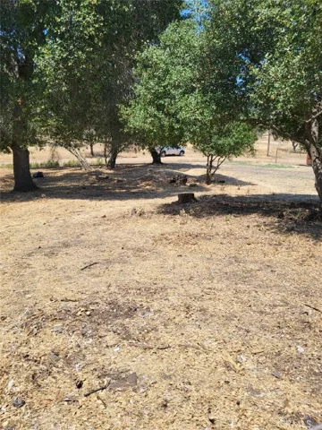 From back of lot
