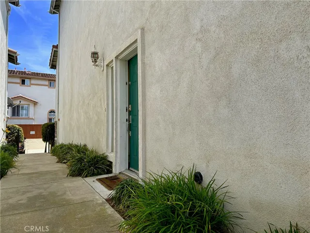 Entry door