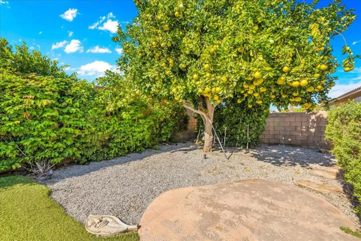 44875 Via Catalina - Grapefruit Tree