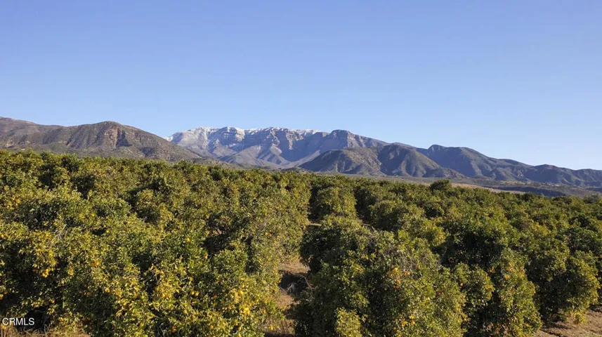 Foothill Rd MLS-31