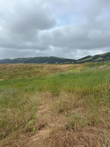 363 Orchard Hill Road, San Juan Bautista, California 95045