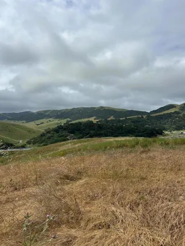 363 Orchard Hill Road, San Juan Bautista, California 95045