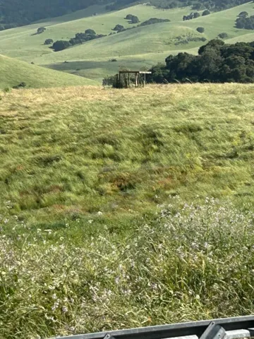 363 Orchard Hill Road, San Juan Bautista, California 95045