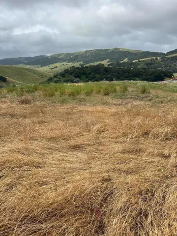 363 Orchard Hill Road, San Juan Bautista, California 95045