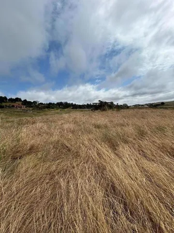 363 Orchard Hill Road, San Juan Bautista, California 95045