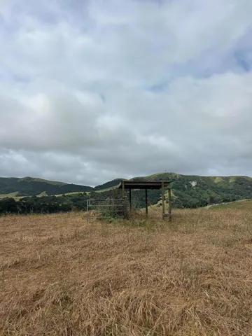 363 Orchard Hill Road, San Juan Bautista, California 95045