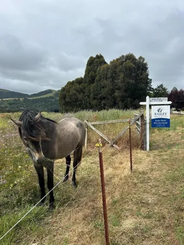 363 Orchard Hill Road, San Juan Bautista, California 95045