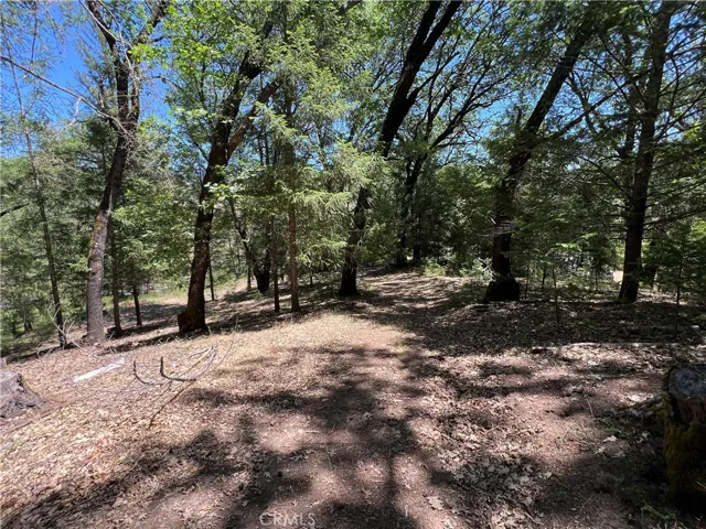 15675 Bottle Rock Road, Cobb, California 95426