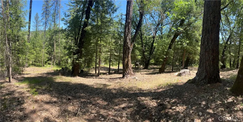 15675 Bottle Rock Road, Cobb, California 95426