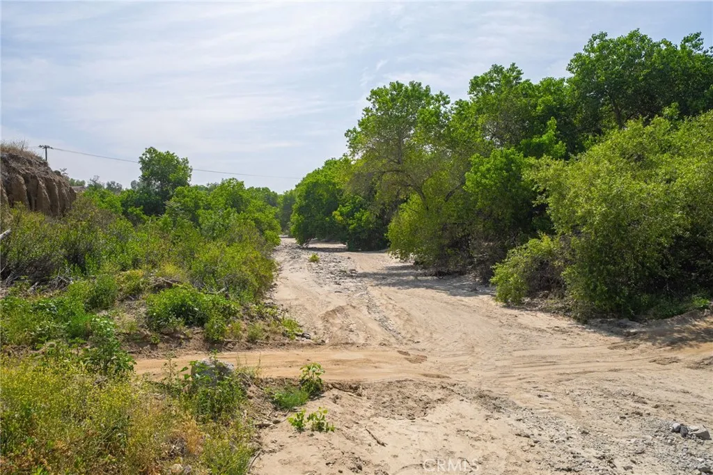 Creek bed