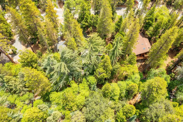 24542FernValleyRd-52