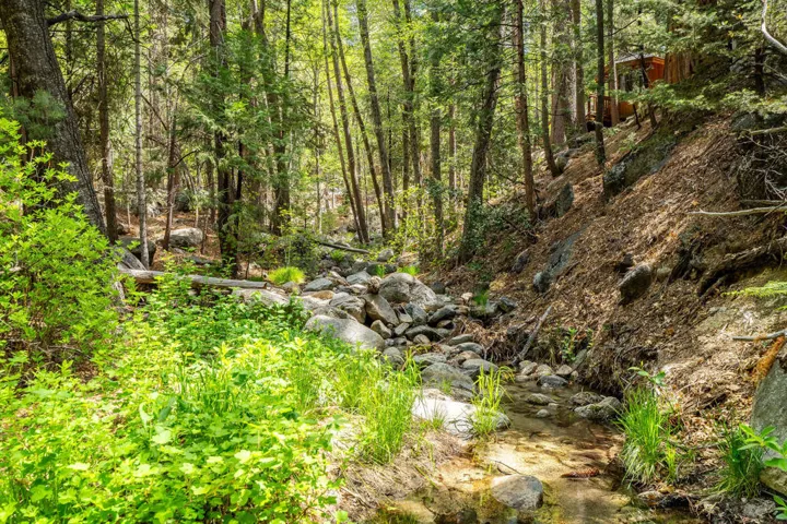 24542FernValleyRd-49