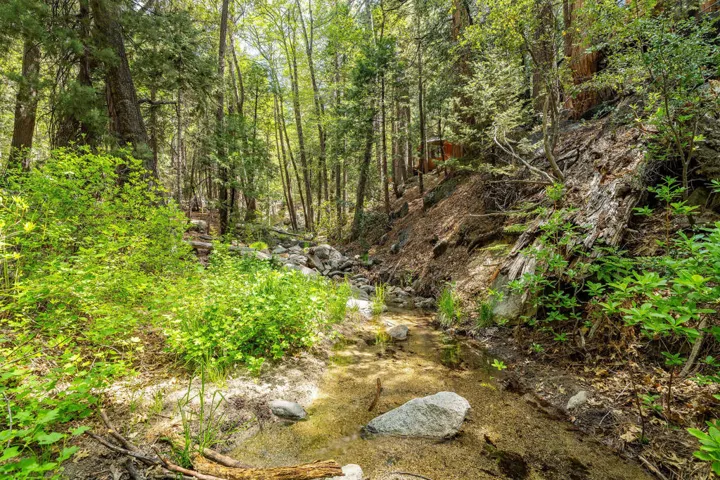 24542FernValleyRd-48