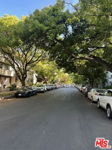 Tree-lined street curb appeal
