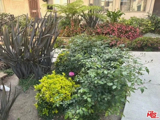 More Lush Landscaping