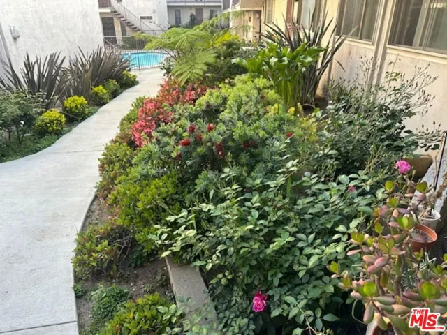 Lush Landscaping
