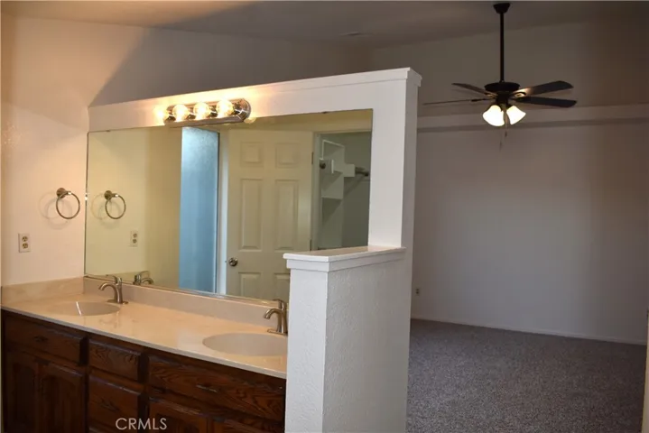 Master Bathroom vanity