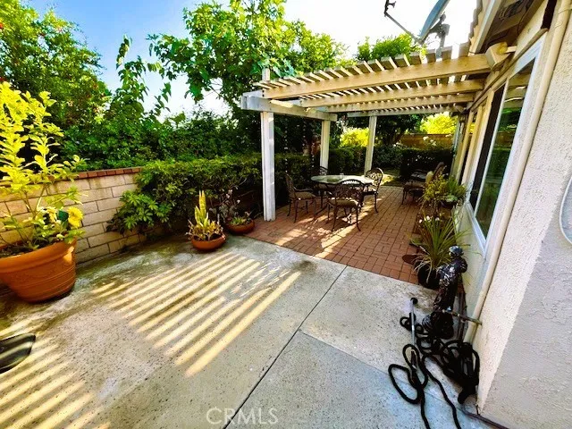back yard