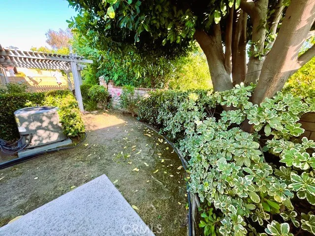 back yard con't