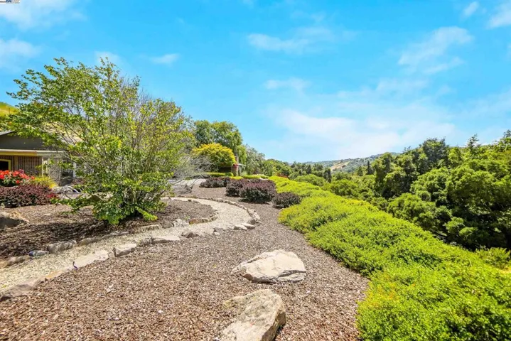 8700 Oak Tree Ln, Castro Valley, California 94552