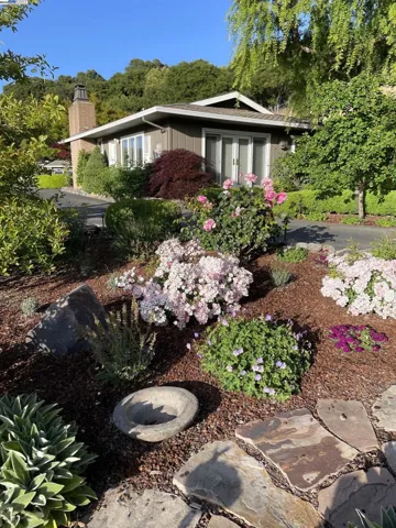 8700 Oak Tree Ln, Castro Valley, California 94552
