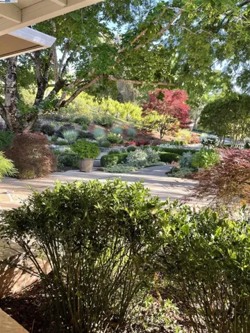 8700 Oak Tree Ln, Castro Valley, California 94552