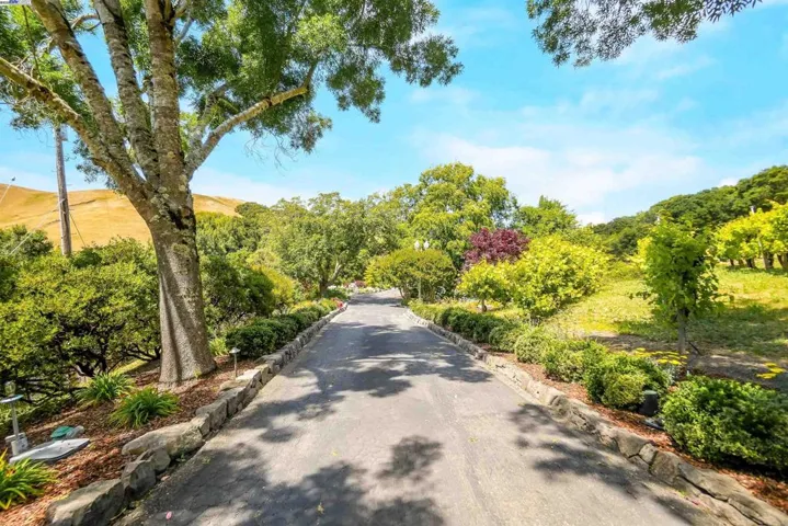 8700 Oak Tree Ln, Castro Valley, California 94552