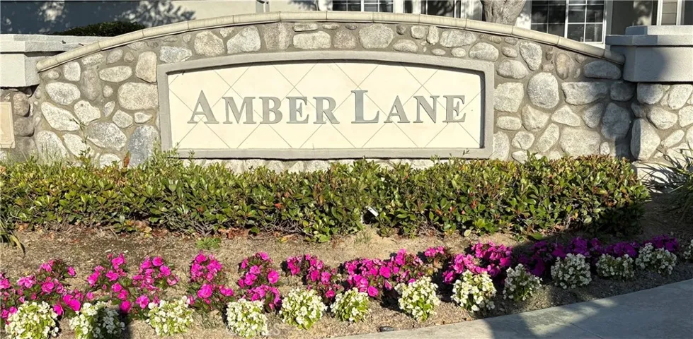 830 S. Amber, Anaheim Hills, California 92807
