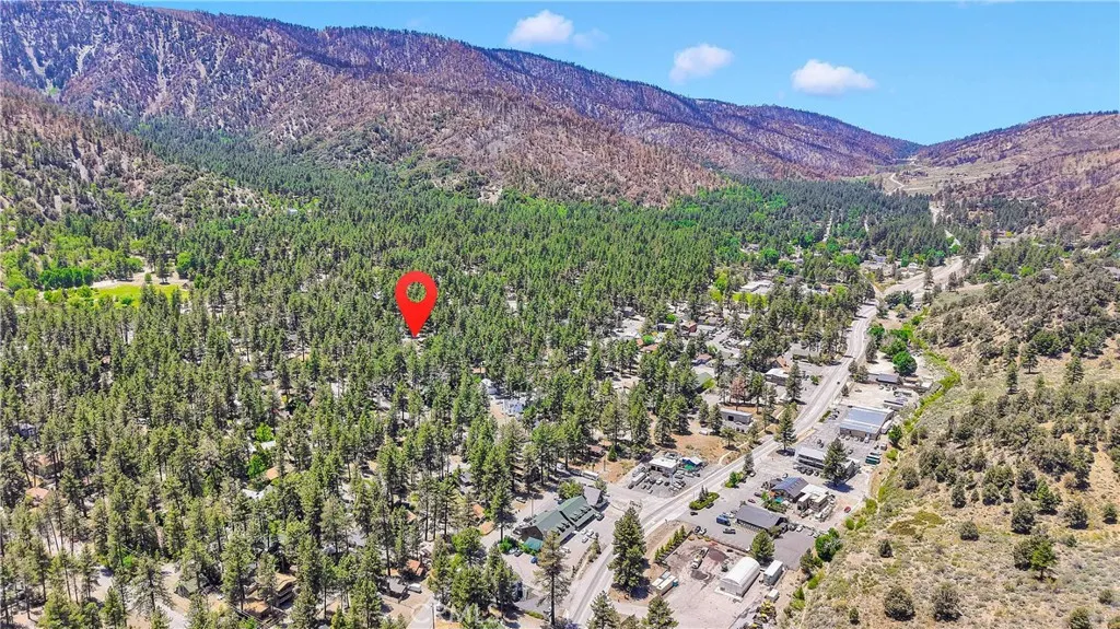 1381 Laura Street, Wrightwood, California 92397 home-pic-46