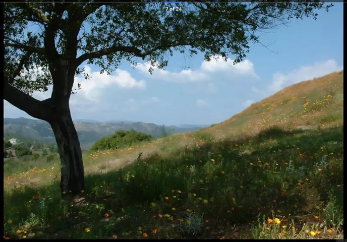 1010 Willowcreek Lane, Fallbrook, California 92028