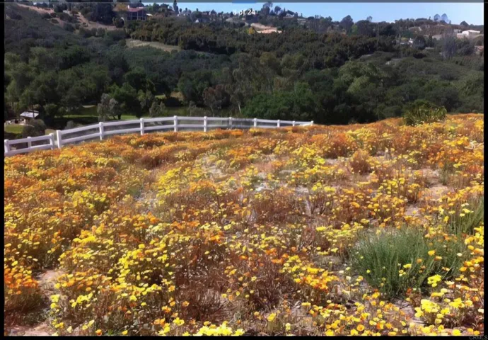 1010 Willowcreek Lane, Fallbrook, California 92028