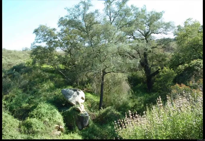 1010 Willowcreek Lane, Fallbrook, California 92028
