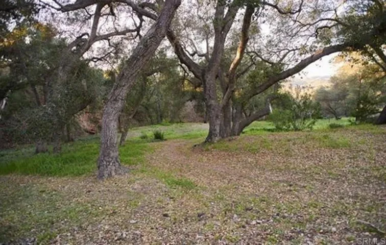 1010 Willowcreek Lane, Fallbrook, California 92028