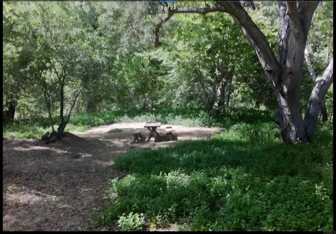 perfect setting for a picnic under the oaks