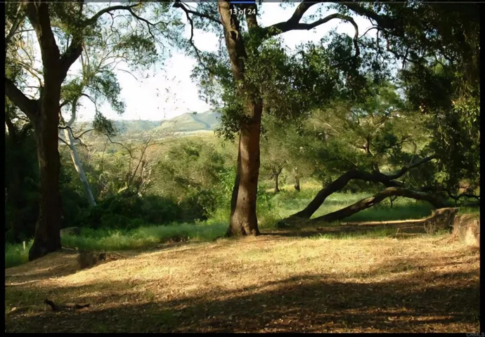 1010 Willowcreek Lane, Fallbrook, California 92028