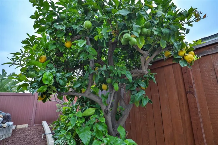 1954 Celeste Lane, Fullerton, California 92833