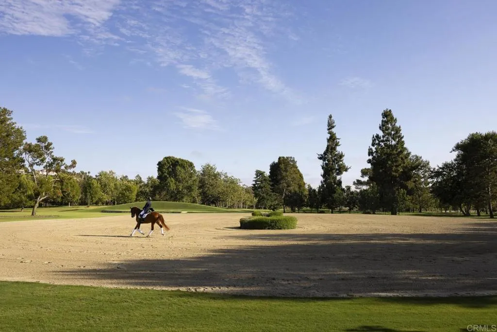 16401 Calle Feliz, Rancho Santa Fe, California 92067 home-pic-21