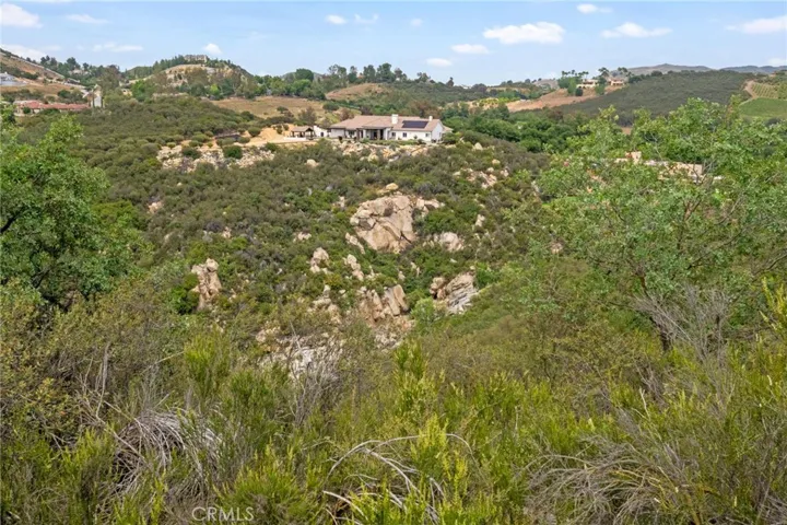 Seasonal creek and waterfall