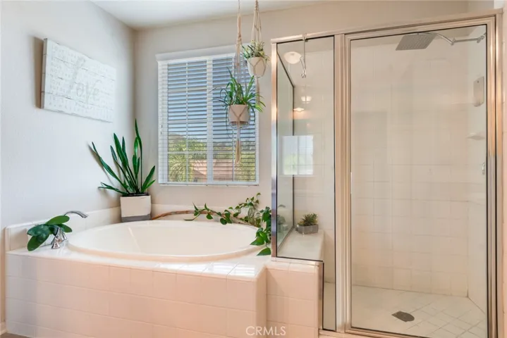 Primary Shower & Tub