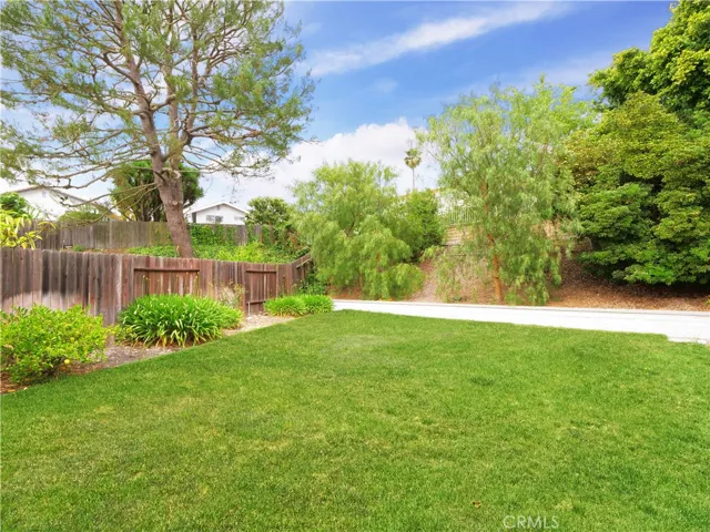Beautiful backyard