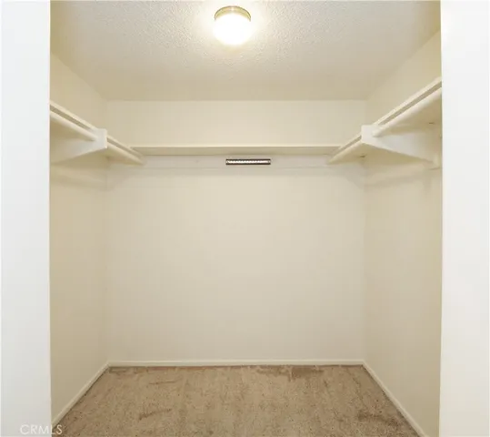 Downstairs Primary Suite walk in closet