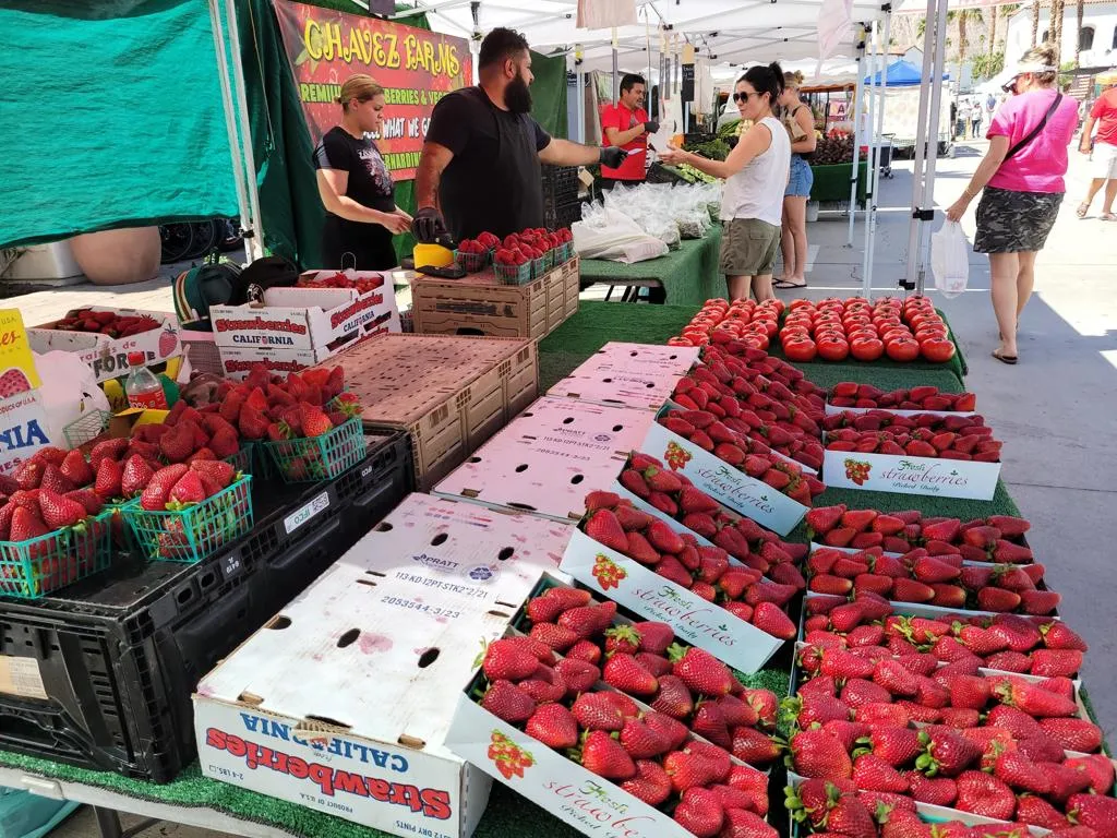 50600 Santa Rosa Plaza 6, La Quinta, California 92253 home-pic-24