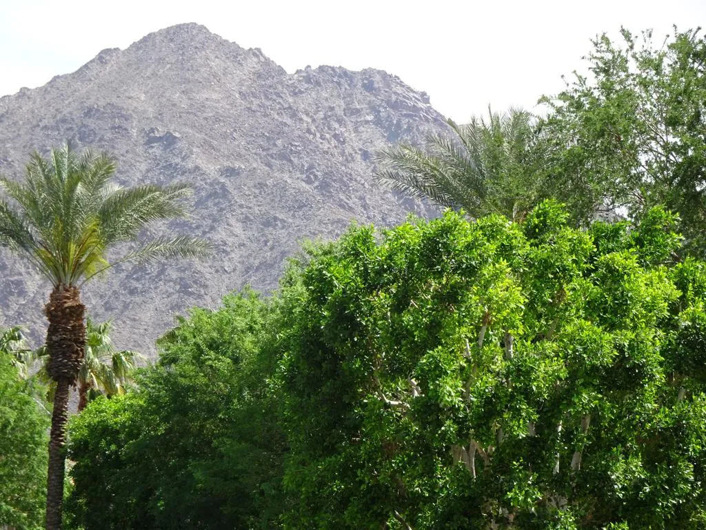 50740 Santa Rosa Plaza 5, La Quinta, California 92253 home-pic-10