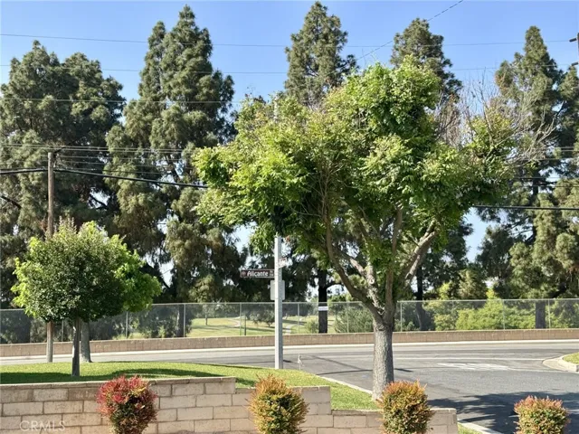 View from front yard